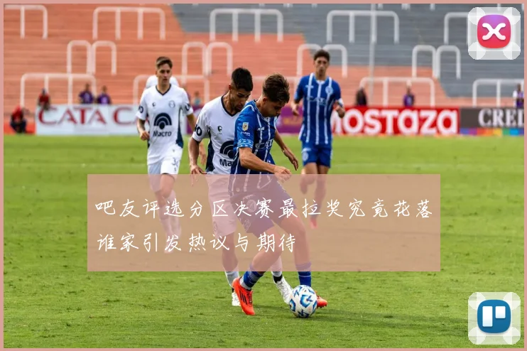 吧友评选分区决赛最拉奖究竟花落谁家引发热议与期待