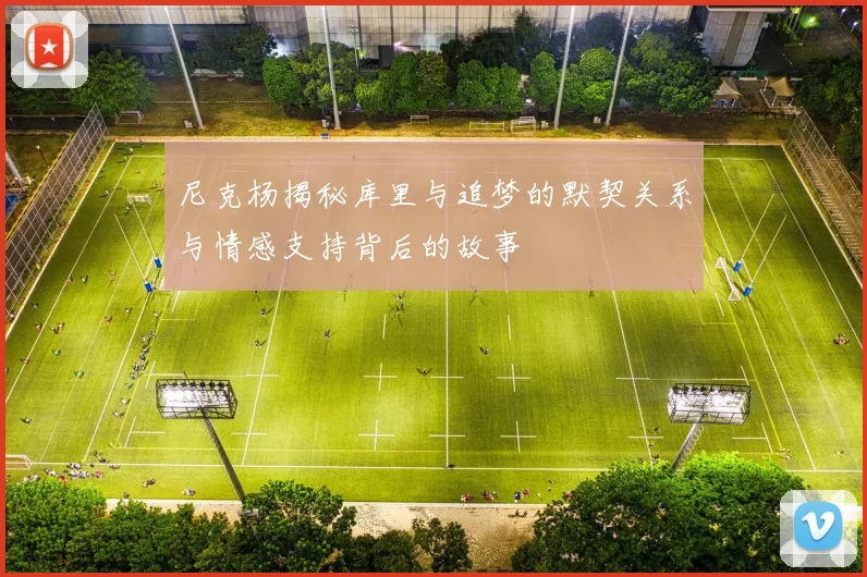 尼克杨揭秘库里与追梦的默契关系与情感支持背后的故事
